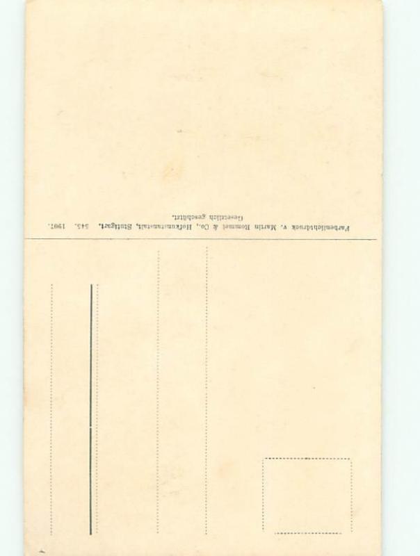 Divided-Back BEAUTIFUL FLOWERS SCENE Great Postcard AA3618