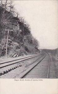 Iowa Lyons Eagie Bluff North Of Lyons