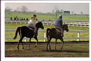 Early Morning Workout, Kentucky Horse Park, Lexington, Kentucky, Durham,