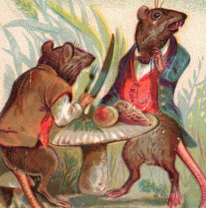 1881 Victorian Trade Cards Anthropomorphic Rats Fox Bull & Frog Set Of 5 F90