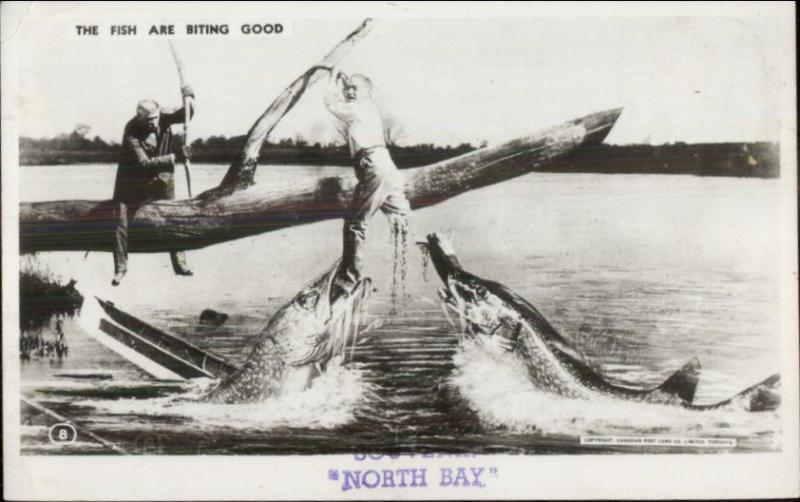 North Bay Ontario Fishing Exaggeration Real Photo Postcard