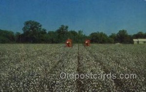 King Cotton Farming Unused 