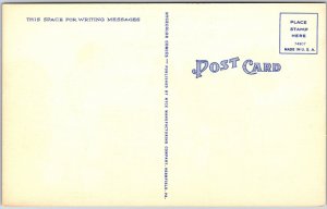 Human Harvesting Cow's Milk Comic Card Postcard