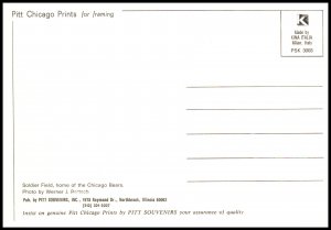 Soldier Field,Chiago,IL