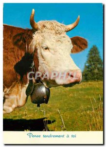 Modern Postcard the Cow Pasture