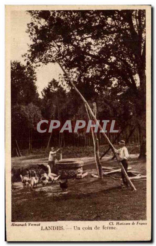 Landes Un Coin de Foret - Old Postcard