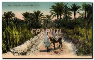 Constantine - Algeria - Algeria - Africa - Africa - Biskra - in L & # 39Oasis...