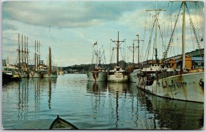 1971 St. John's Newfoundland Rust Stained Hull Portuguese White Fleet Postcard