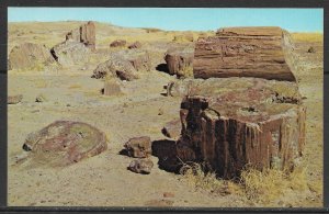 Arizona - Crystal Forest - [AZ-217]