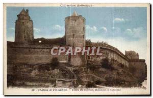 Old Postcard Chateau de Fougeres Tours Goblin Melusine and Surienne