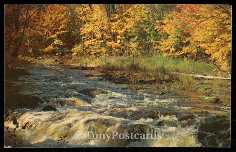 Rushing Waters