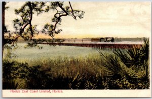 Florida East Coast Limited Florida FL Farm View Franz Huld Publisher Postcard