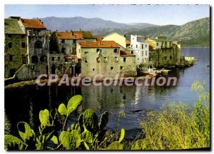 Postcard Modern Saint Florent Old Town