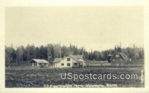 Real Photo - US Experimental Farm - Matanuska, Alaska AK