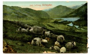 UK - Scotland, Loch Lubnaig. Callander   (chipping)