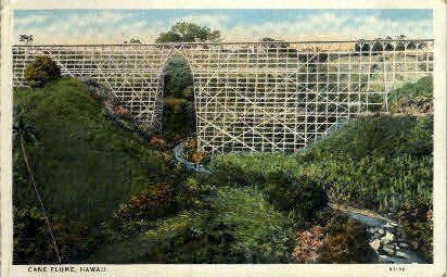 Cane Flume - Hawaii , Hawaii HI