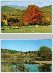 2 Postcards PORTAGE, Utah UT ~ Advertising HOSKINS MARKET Box Elder County