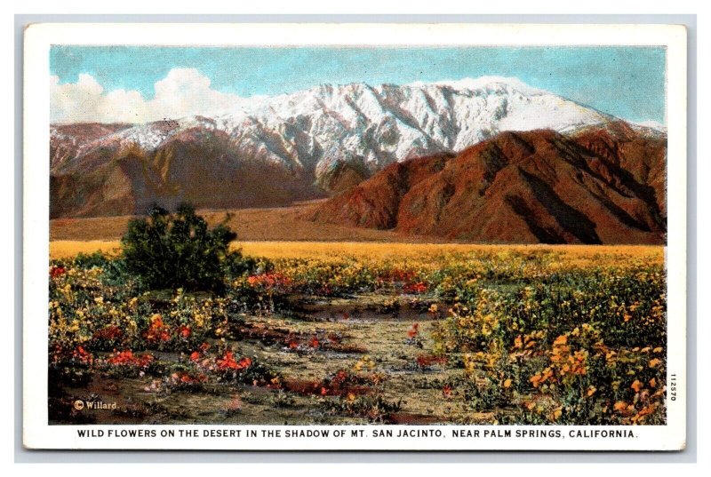 Mount San Jacinto Palm Springs California CA UNP WB Postcard S24