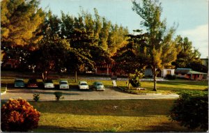 Postcard Cuba Varadero cars parked in front of grove of trees