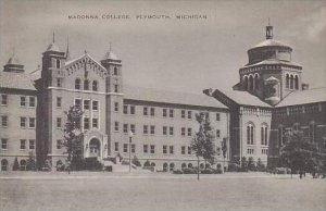 Michigan Plymouth Madonna College Artvue