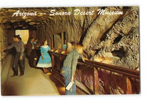 Tucson Arizona AZ Vintage Postcard Underground Tunnel Sonora Desert Museum