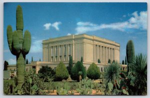 Postcard The Mormon Temple Building Structure & Giant Cactus Plants Mesa Arizona