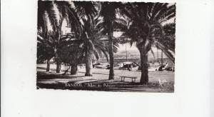 BF25744 allees des palmiers  bandol  france  front/back image