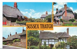 Sussex Postcard - Views of Sussex Thatch     XX325