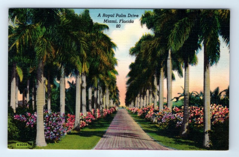 Royal Palm Drive Miami Florida FL Linen