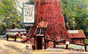 California Redwood Highway Tree House Park World Famous Tree House