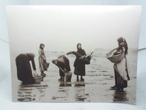 Fisher Women Gathering Driftwood Whitby Yorks Early 1900s Vintage Repro Postcard