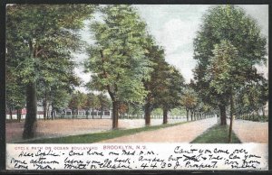 Cycle Path On Ocean Boulevard, Brooklyn, New York, 1908 Postcard, Used