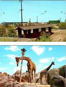 2~Postcards Phoenix, AZ Arizona  PHOENIX ZOO  Covered Bridge & Giraffes