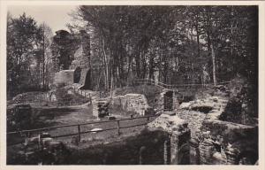 Germany Heidelberg Ruine der Michaels Basilika auf dem Heiligenberg Photo