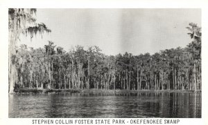 Stephen Collin Foster State Park Okefenokkee Fargo GA Vintage Postcard c1920