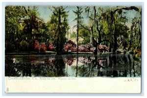 c1905 Across Lake Magnolia Gardens Charleston South Carolina SC Tuck's Postcard  