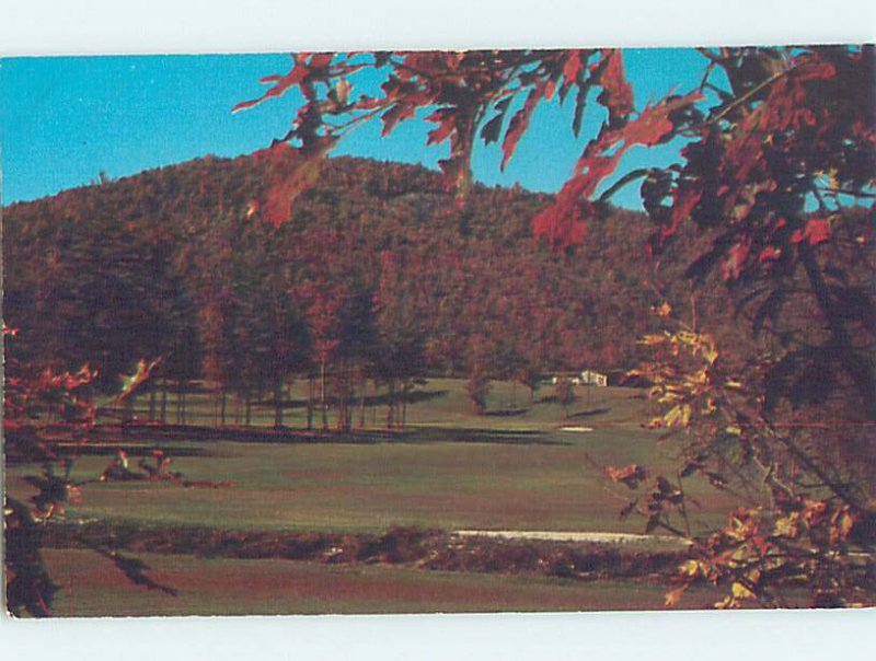 Chrome GOLF SCENE Sapphire - Near Cashiers & Cullowhee North Carolina NC AG5823