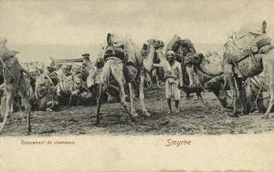 turkey, SMYRNE SMYRNA, Campement de Chameaux, Camels Camp (1899)