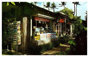 Postcard SHOP SCENE Waikiki Hawaii HI AP1444