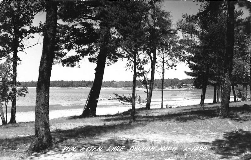 Oscoda Michigan~Van Etten Lake~Man on Dock~Houses Bknd~Trees by Beach~1950s RPPC