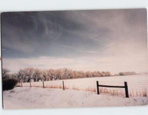 Postcard White Plains