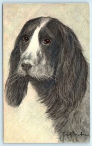 FRED SAUTER Artist Signed DOG~COCKER SPANIEL~Epagneul (Brittany Spaniel) Stehli