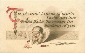 Arts Crafts hand colored Cupid Heart Valentine Saying Gibson C1910 Postcard 6362