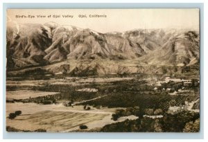 1910 Bird's Eye View Ojai, CA Hand Colored Postcard P181 