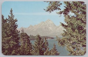 National & State Parks~Wyoming~Vista of the Grand Teton~Pines~Vintage Postcard