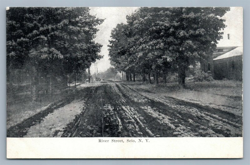 SCIO NY RIVER STREET ANTIQUE POSTCARD