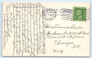 Flamingos at the Singing Tower - Lake Wales FLORIDA Postcard