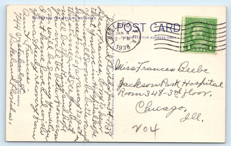 Flamingos at the Singing Tower - Lake Wales FLORIDA Postcard