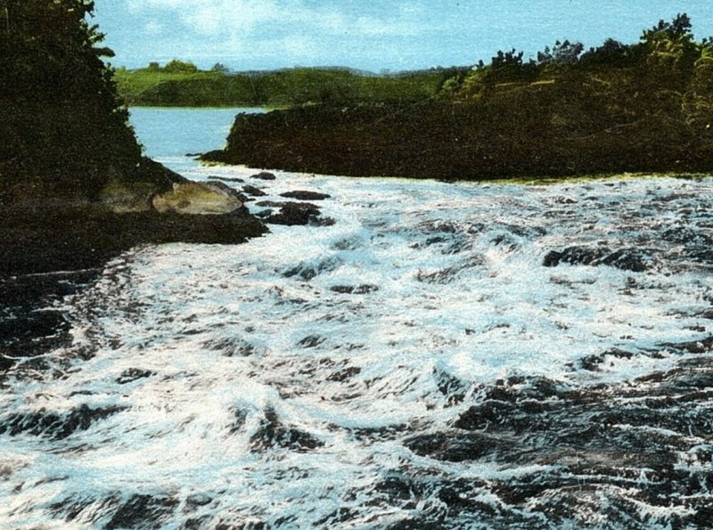 c1930 SAINT JOHN NEW BRUNSWICK CANADA REVERSING FALLS RAPIDS POSTCARD 43-72