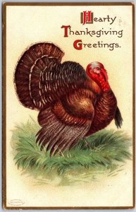 1908 Hearty Thanksgiving Greetings, Turkey, Embossed, Vintage Postcard